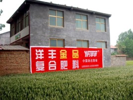 凤庆如何让墙体广告展现最大化效果