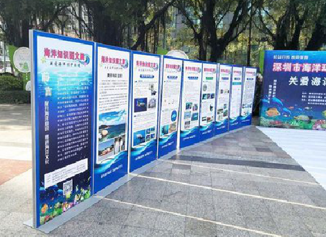 凤庆KT板的种类和知识。